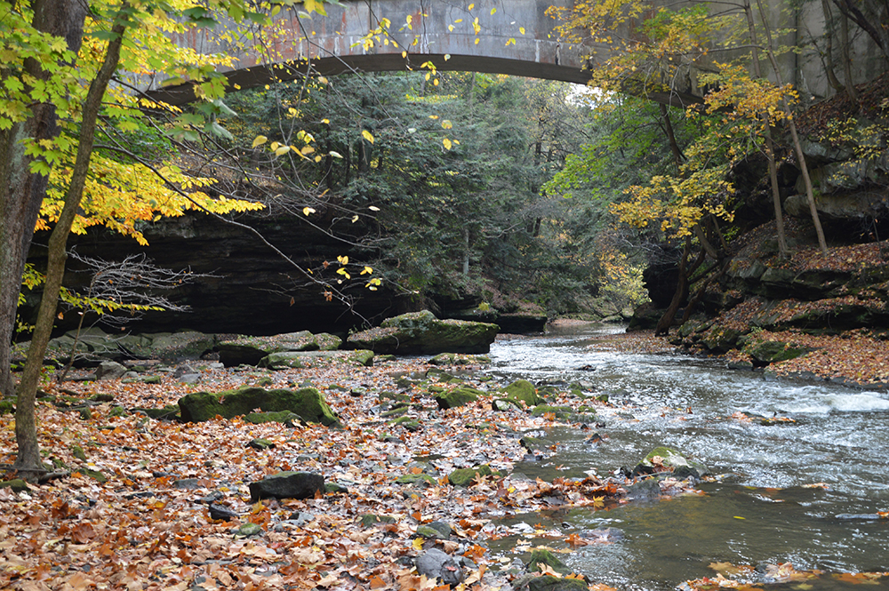 a photo of Mill Creek Park in Youngstown, Ohio.