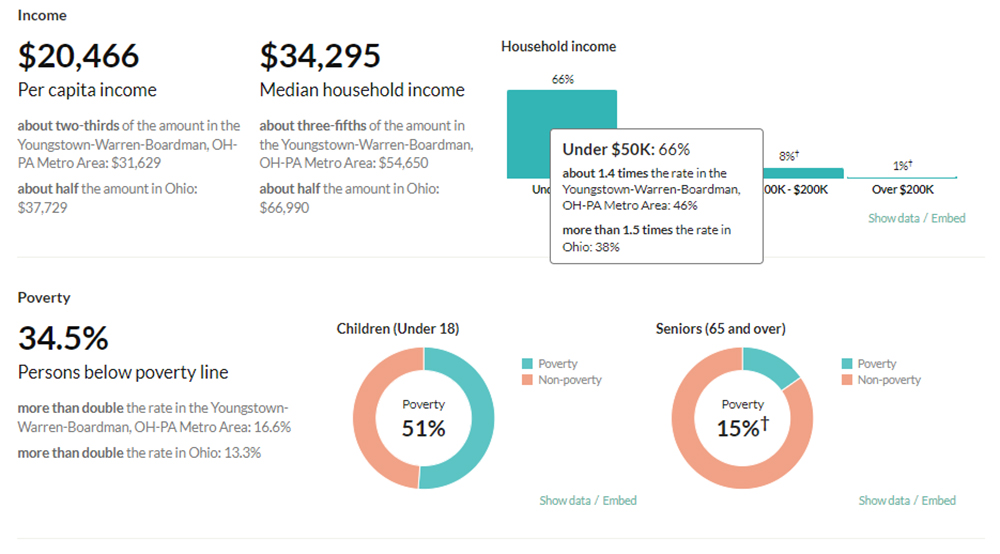 A chart showing pie graphs of poverty levels in Youngstown, Ohio.